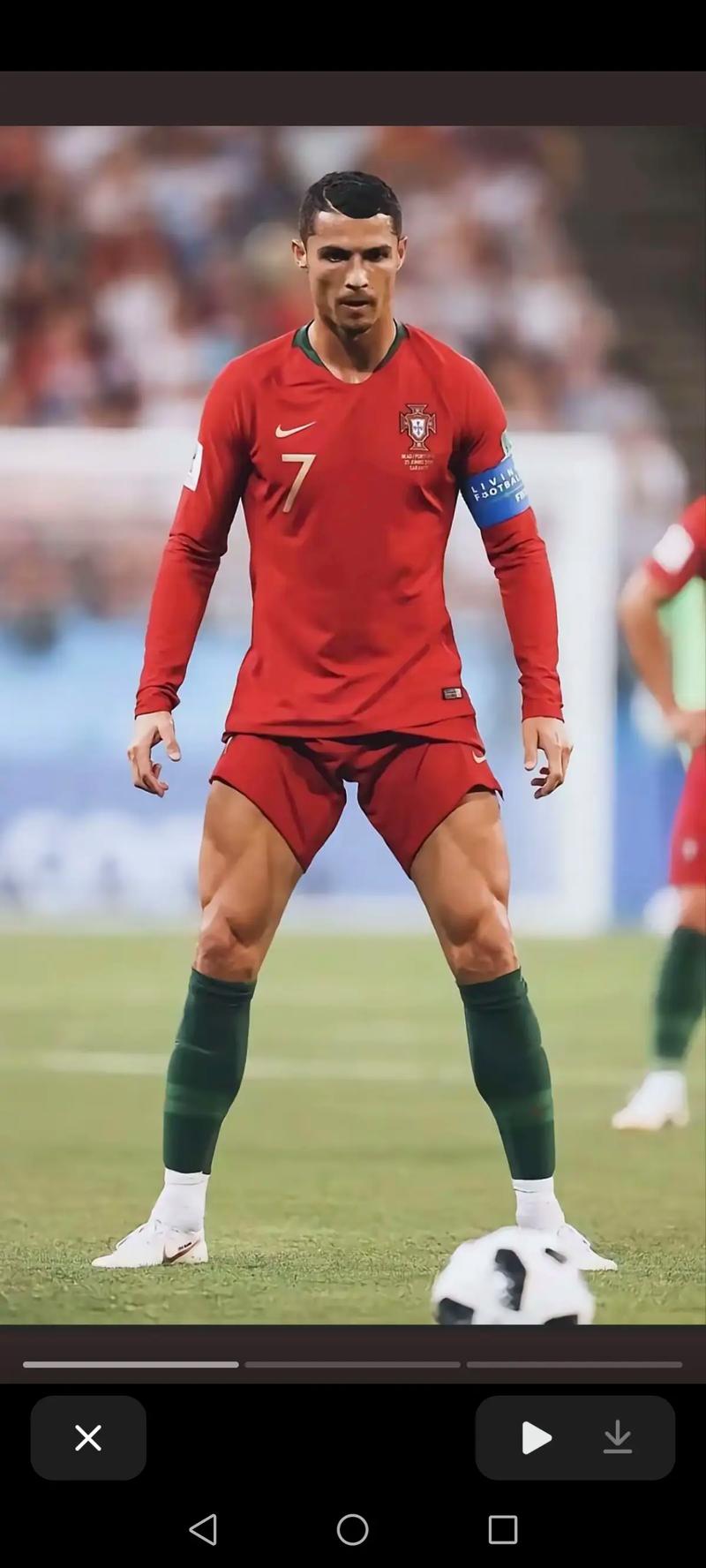 伦敦奥运马术冠军与爱马同日安乐死：二十载相伴书写辉煌传奇（伦敦奥运马术冠军与爱驹同日安乐死：二十年相伴铸就荣光）